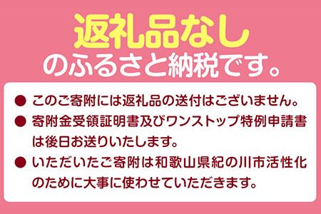 和歌山県 紀の川市 応援寄附 1口 1000円【返礼品なし】---kifunomi---