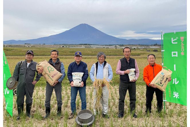 ピロール米　御殿場こしひかり　5kg ◇ ｜ 令和7年産 コシヒカリ 米 精米 白米 静岡県