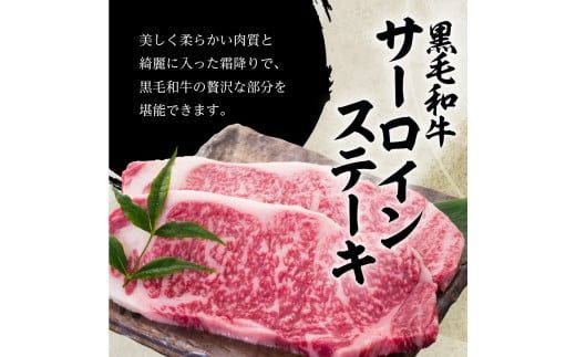 鹿児島黒毛和牛の極上サーロインステーキセット 500g　K134-003