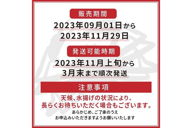 （訳あり）茹で間人がに 2匹 Aセット　11/10～11/21発送予定 HI00001_01