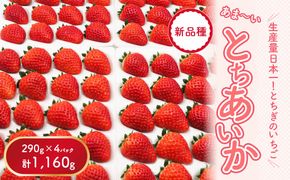 【先行予約】【数量限定】とちあいか 290g×4パック｜いちご イチゴ 苺 真空パック ※2024年11月上旬頃より順次発送予定