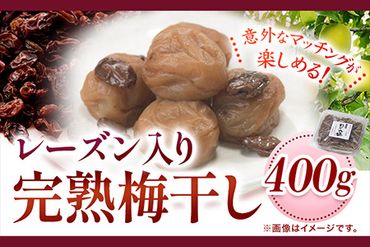 紀州南高梅使用レーズン入り完熟梅干し400g 紀の川市厳選館《30日以内に出荷予定》 梅干 400g---wsk_tmumer_30d_22_9000_400g---