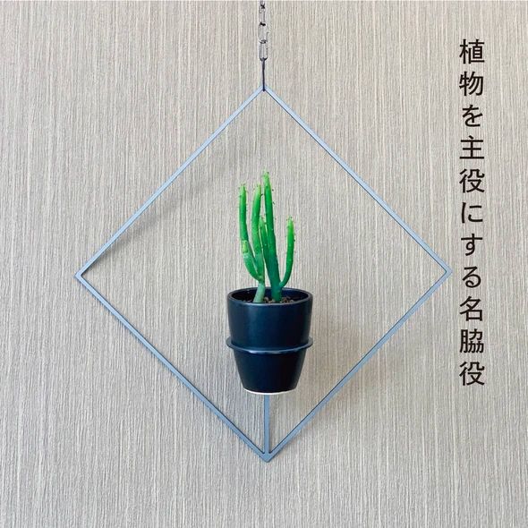 GRAVIRoN Hang Plants シリーズ Diamond 酸洗鉄（プランツハンガー） 観葉植物 プランター