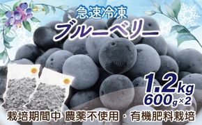 有機栽培・農薬不使用！急速冷凍ブルーベリー 1.2kg 【JAほたるの里】_HA1517