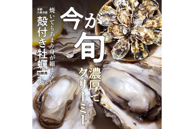 農家漁師から産地直送★京都・久美浜産　殻付き牡蠣　3kg（30個前後）【加熱用】牡蠣ナイフ付　人気 国産 正規品 大粒 肉厚 養殖牡蠣 贈り物 牡蠣 牡蛎 かき カキ 海鮮 貝 海のミルク 殻付き 3キロ MN00018