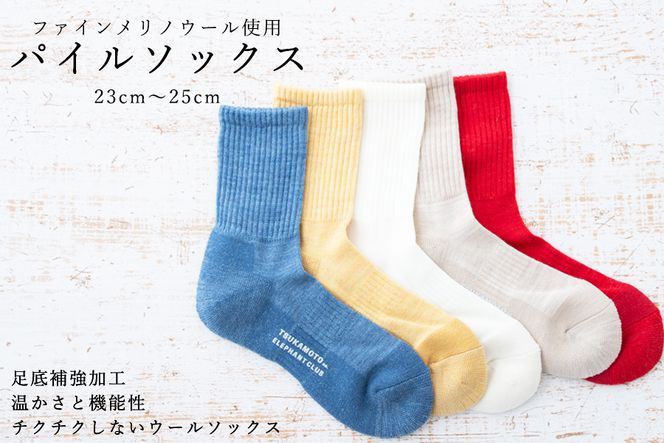 yޗǌL˒zŷɂIzE[⋭pC\bNXi23-25cmj5ZbgyAF|bvȃZNgJ[z ///  C ʔN lC ޗǌ L˒  