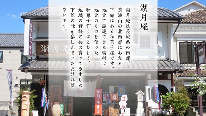 もち入り館最中8個詰 きぬのまゆ玉24個詰（絹白・抹茶各12個） [AO007ci]