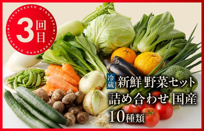 099Z158 泉佐野お楽しみ福袋 定期便 全3回 牛肉 ステーキ 海鮮 サーモン 野菜【毎月発送コース】