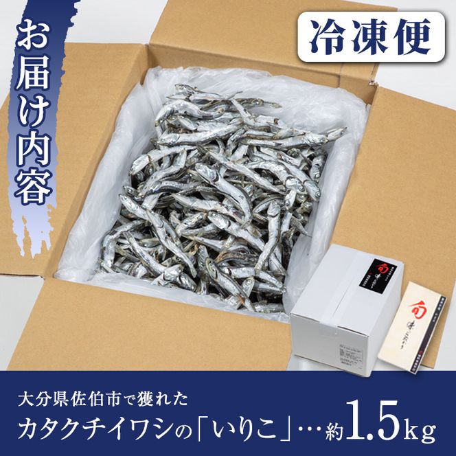 ＜訳あり・業務用＞カタクチイワシの「いりこ」 (計約1.5kg) 干物 ひもの 味噌汁 出汁 佃煮 お酒のおつまみ 大分県 佐伯市 【GH002】【増野善雄商店】