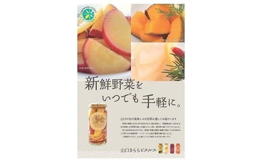 E015 山口きららピクルス詰め合わせ