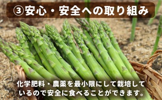 【2027年8月～発送】【生で食べられる】スイート アスパラ L～3L 約 1kg 増田農園 アスパラガス 甘い / 南島原市 / 贅沢宝庫 [SDZ015] 
