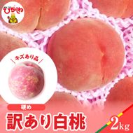 【2025年産　先行予約】白桃 品種おまかせ 訳あり2kg(硬め) 山形県 東根市 hi004-hi062-023-2