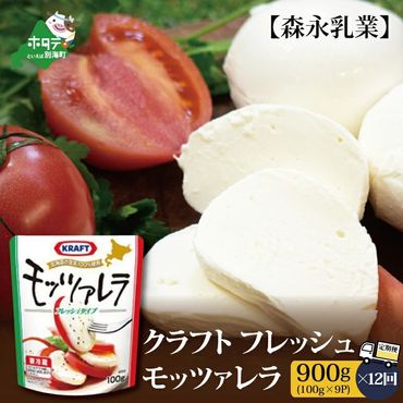 ランキング7位獲得！【定期便】森永乳業 モッツァレラチーズ 900g(100g×9P) × 12ヵ月【全12回】