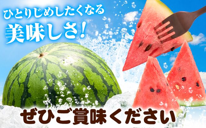 紀州和歌山産 小玉 スイカ 「ひとりじめ」 2玉 魚鶴商店《2026年6月上旬-7月上旬頃出荷》 和歌山県 日高町 スイカ スイーツ フルーツ すいか 果物 くだもの---wsh_uot149_6j7j_25_13000_2t---