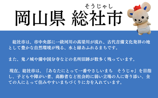 【返礼品なし応援寄附】岡山県総社市（1000円） 22-001-001