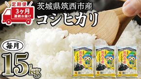 【 定期便 3ヶ月 】 茨城県筑西市産 コシヒカリ15kg 三ツ星 マイスター 米 コメ コシヒカリ こしひかり 茨城県 単一米 精米 [CH016ci]