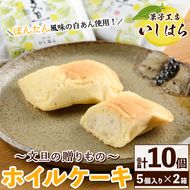 鹿児島文旦の贈りもの(計10個・5個入り×2箱) 国産 文旦 ボンタン ぼんたん お菓子 洋菓子 あんこ 白あん ホイルケーキ スイーツ おやつ 銘菓【菓子工房いしはら】akn071-01
