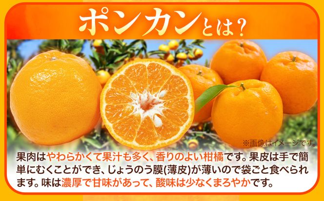 [濃厚・春みかん] 有田産 ポンカン 約 5kg(サイズおまかせ) 厳選館 《2月上旬-3月中旬頃出荷》 和歌山県 日高町 送料無料 柑橘 柑橘類 みかん ポンカン---wsh_gsk15_ae2_23_15000_5200g---