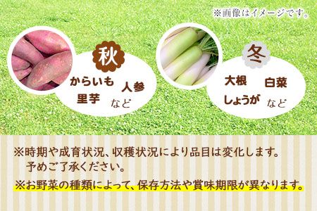 熊本県大津町産 季節の野菜セット(6～8種類)《60日以内に出荷予定(土日祝除く)》野菜 冷蔵 JA菊池 大津中央支所 とれたて市場---so_cozuyasai_60d_20_13500_8i---