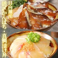 【冷凍】日向灘真鯛とかんぱちの漬け丼2種食べ比べセット　100g×8袋　N019-YZB232　請関水産