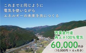 電気料金 （10,000円✕6ヶ月分） 百森でんき CO2フリー 地域電力 お礼の電気 脱炭素 ゼロカーボン 岡山県 西粟倉村 【まずは寄付のお申し込みを！】e-vv-A06D