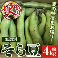 ＜先行予約受付中！2026年4月下旬以降順次発送予定＞訳あり！鹿児島県産 そら豆(約4kg) 国産 野菜 そら豆 ソラマメ おつまみ サラダ 炒め物 訳アリ サイズ混合 ソラ豆 鞘つき さやつき【松永青果】akn053-08