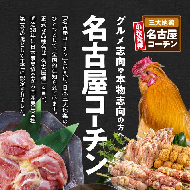 名古屋コーチン親子丼[003D10]