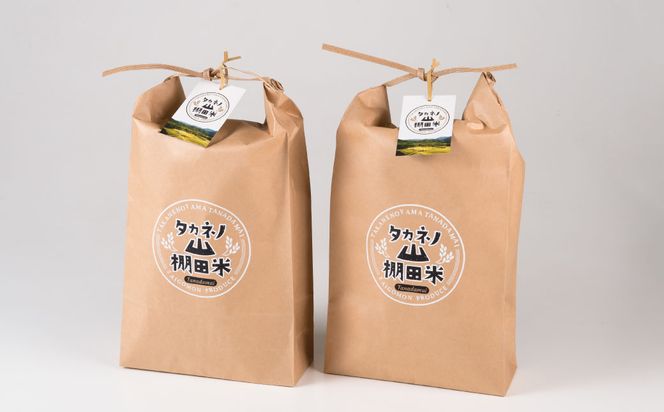  【令和7年産米】新潟県村上市 岩船産  棚田米 コシヒカリ 5kg×2　B4035