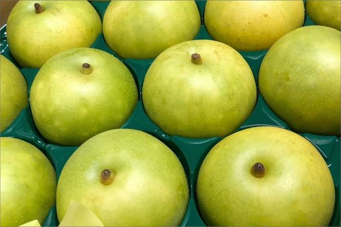 【先行予約】京丹後の梨ジュース 小瓶3本入り（2025年10月下旬～発送）　SF00018