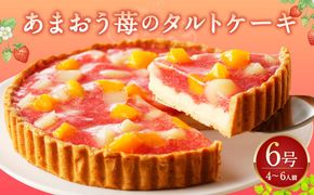 あまおう苺 の タルトケーキ 6号 約18cm 4～6人分 いちごタルト タルト ケーキ 誕生日