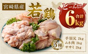 【2025年8月発送】＜宮崎県産若鶏3種 計6kgセット＞【c504_hn_x3-aug】