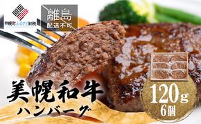 【田村精肉店】美幌和牛ハンバーグ【120g×6個】【配送不可地域：離島】 BHRJ010