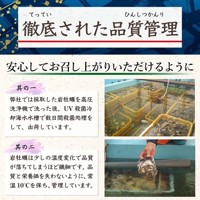 延岡産天然岩牡蠣（生食用）5kg（小）（2024年4月1日から発送開始）　N036-B305