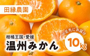 【先行予約】【数量限定】田縁農園の温州みかん（生果）10kg ｜ 柑橘 みかん ミカン フルーツ 果物 愛媛 ※離島への配送不可 ※2024年11月上旬～12月下旬頃より順次発送予定