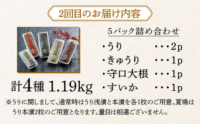 【交互にお届け！全2回定期便】奈良漬クリームチーズ 4種 × 奈良漬「琥珀神(こはくかんさ)」4種 1.19kg《築上町》【奈良漬さろん安部 / SALON DE AMBRE】奈良漬 奈良漬け チーズ[ABAE016]