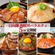 日向灘 お魚の漬け丼 バラエティ 5回 定期便　N019-YZD0117