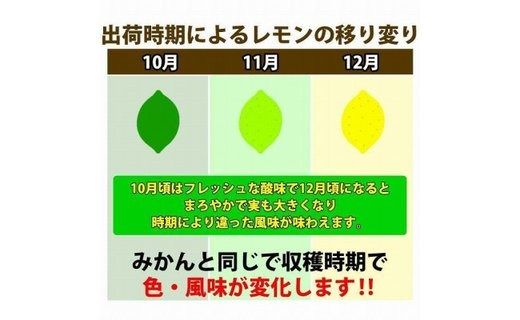 【有田川町】レモン 和歌山県産 訳あり 国産レモン 1500g  	CE008