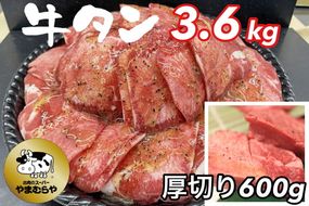 牛タン 熟成牛 塩タン 味付 3kg（200g×15パック）厚切り牛塩タン味付 600ｇ付＜お肉のスーパーやまむらや＞