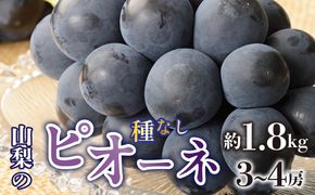 ＜2025年/令和7年発送先行予約＞種無しピオーネ　約1.8kg　3～4房 SWAO002