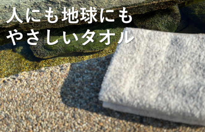 020C292 【THE EARTH TOWEL】10枚セットフェイスタオル／速乾泉州タオル（グレー）【泉州タオル 国産 吸水 普段使い シンプル 日用品】
