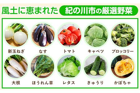 紀の川市の恵み 旬のフルーツ＆野菜セット 計3~5品《30日以内に出荷予定(土日祝除く)》和歌山県 紀の川市 フルーツ 果物 野菜 セット 桃 梅 みかん 新玉ねぎ なす トマト キャベツ---wfn_cwlocal68_30d_25_11000_3h5h---