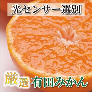 田口の清見オレンジ 秀品 5kg L～３L（30玉～18玉）化粧箱入り サイズ