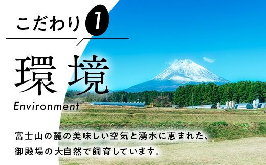 【定期便12ヵ月】《毎月10日お届け》御殿たまご 赤たまご 24個入（破損保障含む）（6個入モウルドパック×4P入） ｜ 卵 タマゴ 玉子 たまごかけご飯 生卵 鶏卵 卵焼き 国産 御殿場産 ※北海道・沖縄・離島への配送不可