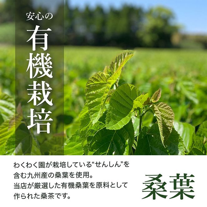  a927 菊芋桑茶120包セット(60包入り×2袋) 菊芋 スーパーフード 桑の葉 くわ 天然100％ 桑の葉【わくわく園】