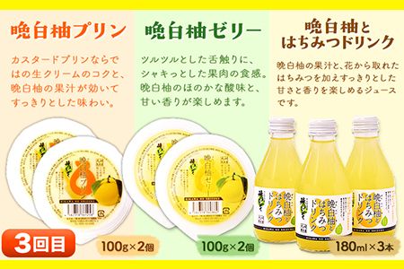 晩白柚スイーツ欲張りセット頒布会 計3回お届け 道の駅竜北《お申込み月の翌月から出荷開始》 ばんぺいゆ 柑橘 かんきつ スイーツ お菓子 ゼリー プリン ジュレ 最中 もなか 飲料 送料無料 定期便---sh_cmichi3tei_22_36000_mo3num1---