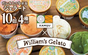 【4種のフレーバーを食べ比べ】ジェラート10個セット 映えるデザインが可愛いと話題に!! アイス スイーツ デザート 洋菓子 可愛い 詰め合わせ　H105-099