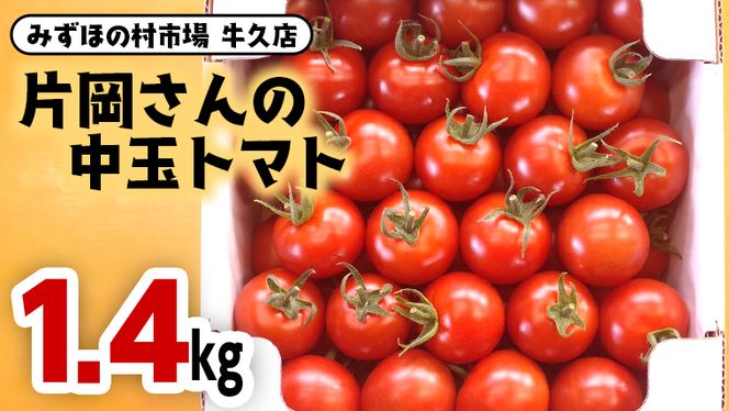 片岡さんの 中玉トマト 1.4kg 新鮮 野菜 トマト とまと [AM013us]
