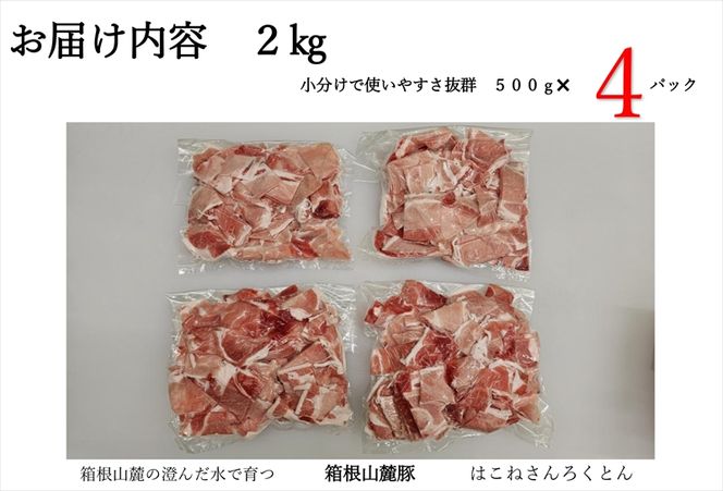 169-2198　箱根山麓豚　モモ・ウデ切り落とし２K盛り(500ｇ×４パック)【 箱根山麓豚 切り落とし 神奈川県 小田原市 】