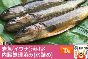 岩魚（イワナ）活け〆10匹　内臓処理済み（氷詰め）　10匹|02_csr-010301