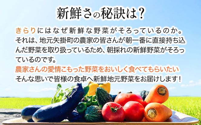 旬の新鮮野菜詰め合わせセット 野菜5～10品目入 青空市きらり《30日以内に出荷予定》岡山県 矢掛町 野菜 野菜詰め合わせ トマト きゅうり アスパラガス 玉ねぎ リーキ 送料無料---osy_ckrrys_30d_24_8000_s---